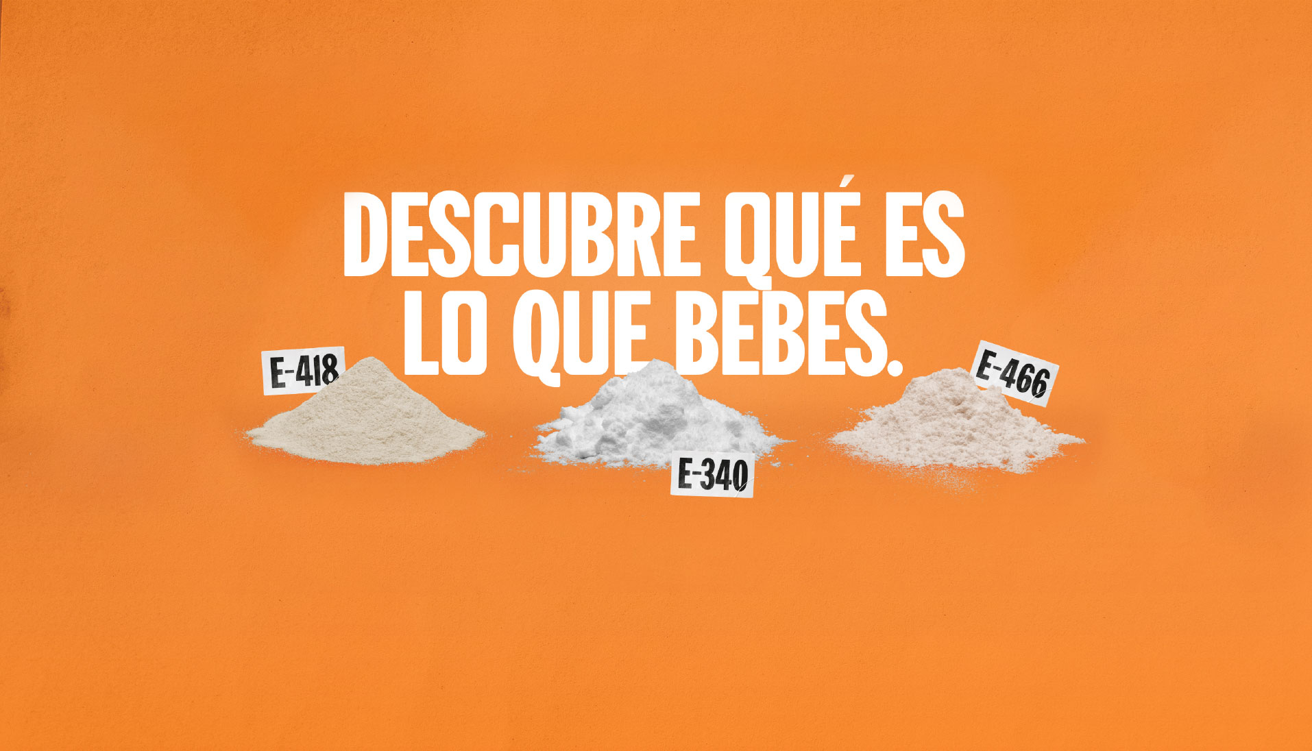 descubre bebes